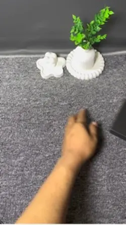 Mentahan tiktok