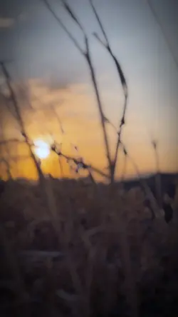 Story