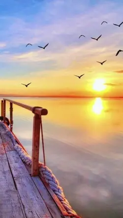 sunrise template