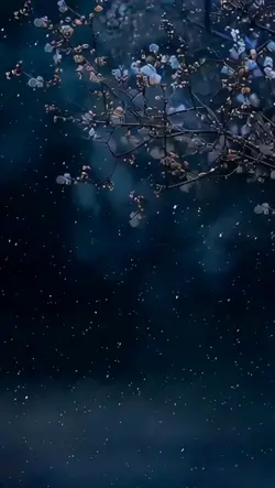 Falling Snow