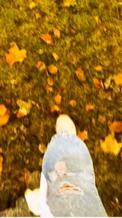 Fall🍂🍁
