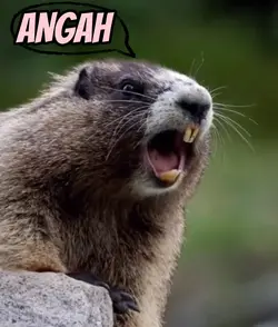 TUPAI PANGGIL NAMA