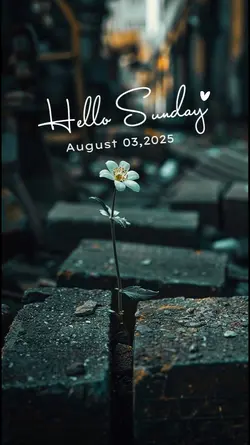 Hello Sunday 