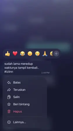 sudah lama meredup..