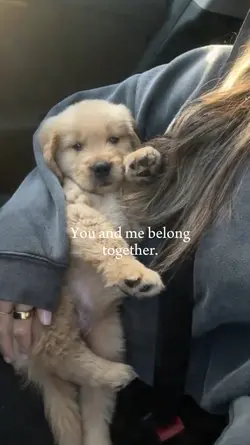 Your my dog
