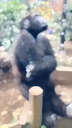 Nyuwun Marang Gusti