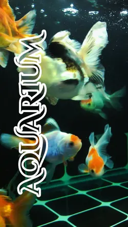 AQUARIUM