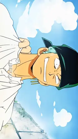 ONE PIECE LIBERADO