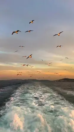 slowmotion