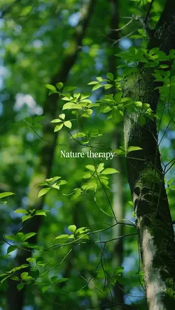 Nature therapy