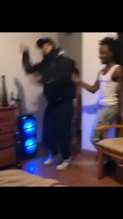 funny videos 