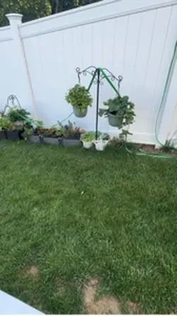 Summer garden 