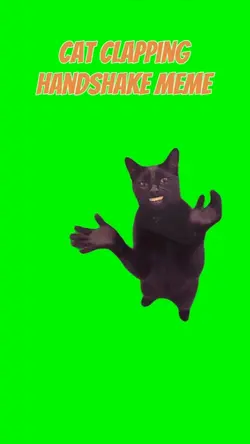 CAT CLAP HANDSHAKE 