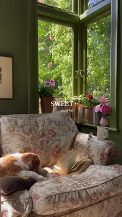 Sweet home