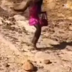 Eleştiri