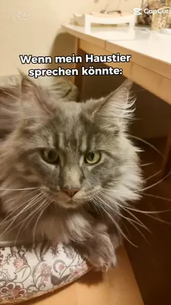 If my cat could spek