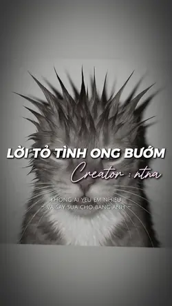 lời tỏ tình chó meo