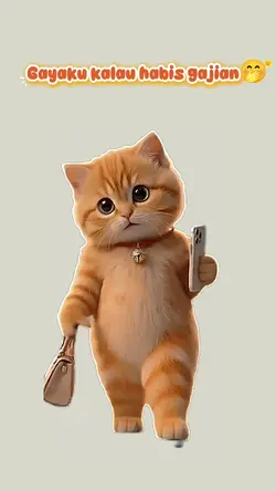 Cat walking 