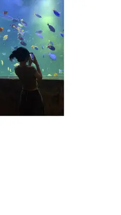 aquarium moment 