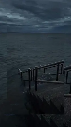 Sea Meme
