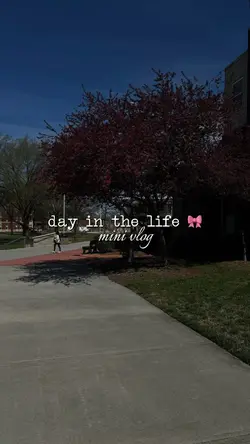 mini vlog