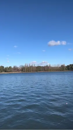 Lakeside 
