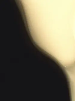 UDI UDI