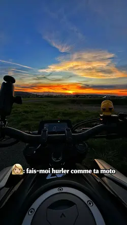 Y’a la chicane 😅