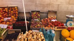 vlog