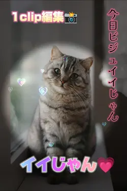 あれ、今日ビジュイイじゃん