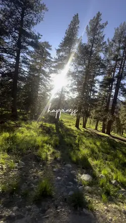 happiness is nature 