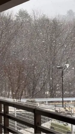 Snowfall 