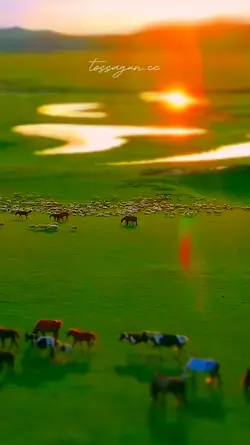 เลนส์จิ๋ว tiltshift