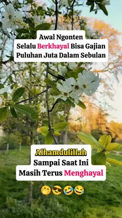 Status lucu