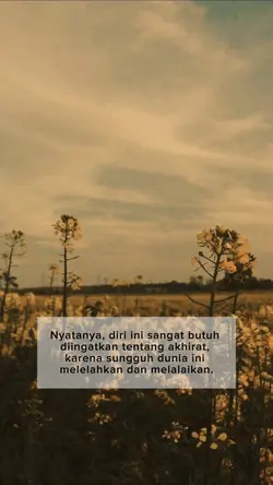 Islamic Reminder 