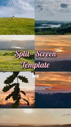 SplitScreenTemplate.