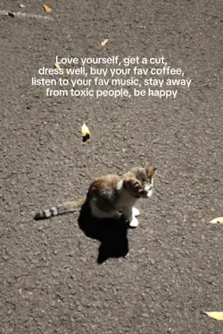 self love quote
