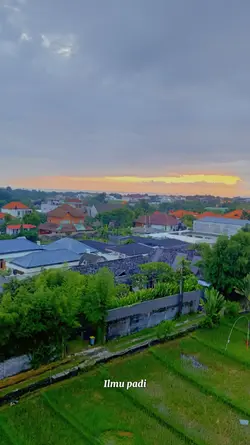 Ilmu padi 