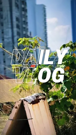 Aesthetic video