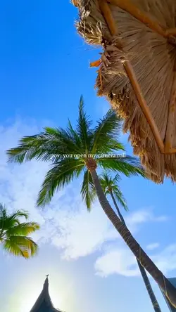you open my camera