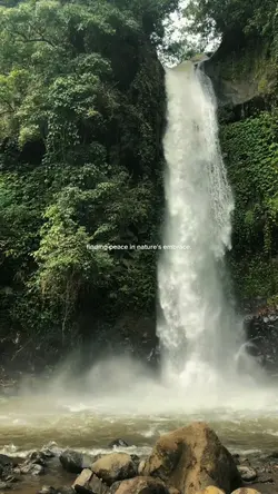 nature's embrace