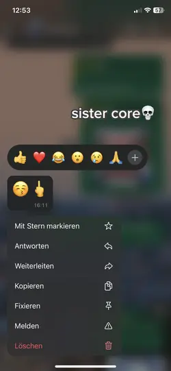 sister core🎀💀