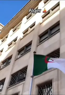 tahia el djazair 