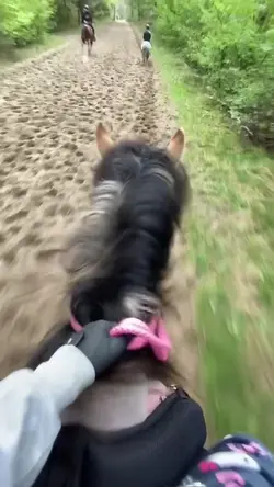 Fetzen❤️