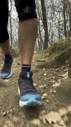 Trailrunning