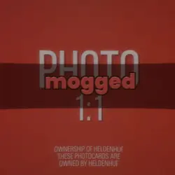 Mogged trend 