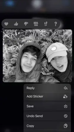 Photolive 