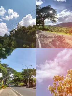 nature