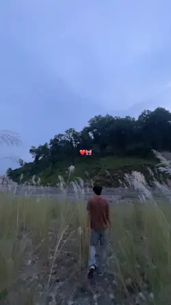 Hindi velocity 