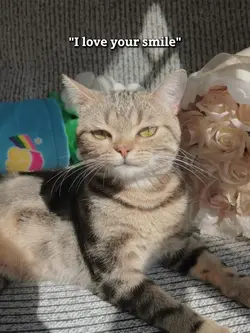 my smile?